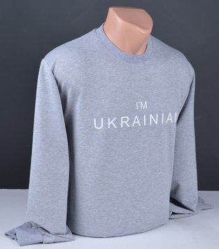 Мужской свитшот большого размера серый Турция 6099 Б 6099 Б фото