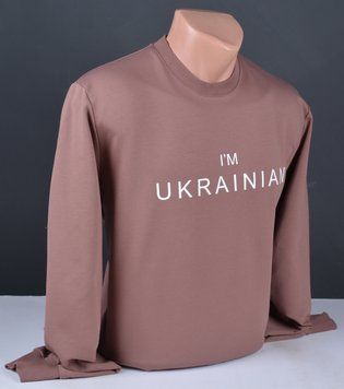 Мужской свитшот большого размера розово-бежевый Турция 6100 Б 6100 Б фото