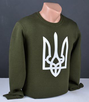 Мужской свитшот на флисе хаки Турция 6092 3XL 6092 фото